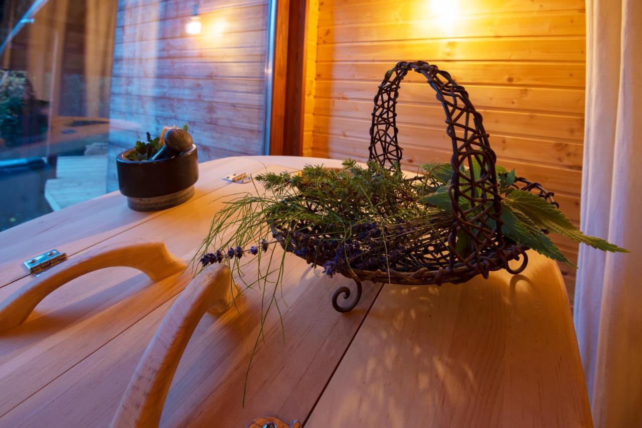 Pinus Villas Lodge With Private Jacuzzi & Phyto-Sauna Retreat Zheleznitsa Dış mekan fotoğraf