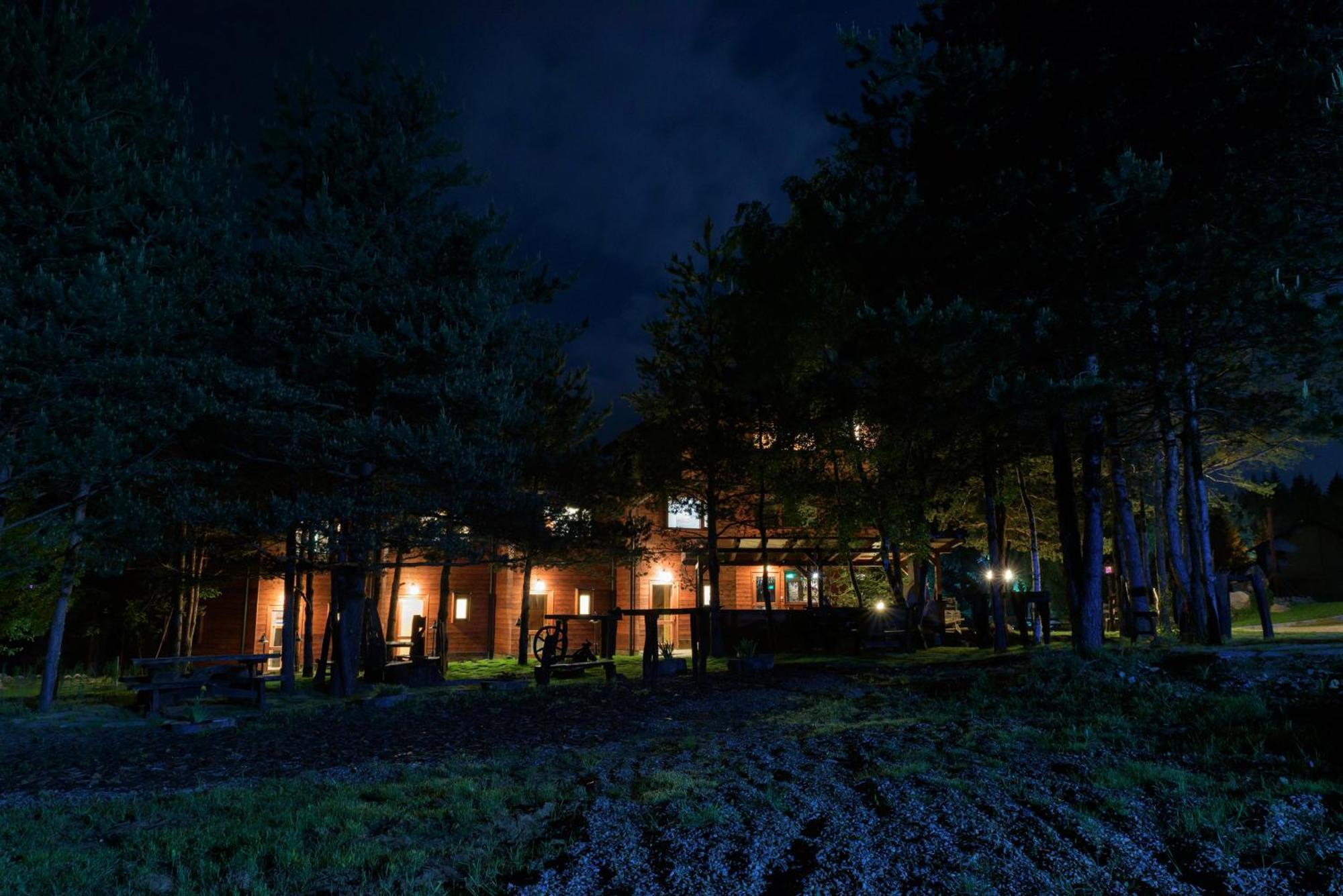 Pinus Villas Lodge With Private Jacuzzi & Phyto-Sauna Retreat Zheleznitsa Dış mekan fotoğraf